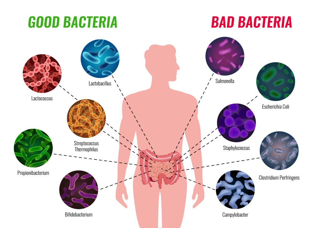 Aquí tambien sabemos juntos cómo mejorar la microbiota intestinal