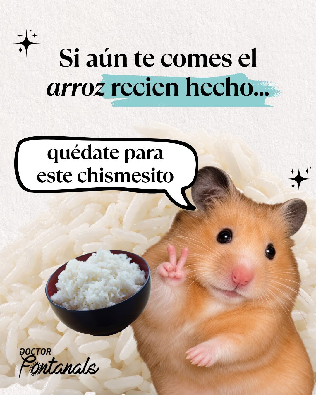 Carrusel sobre almidón resistente, lámina 1 de 6