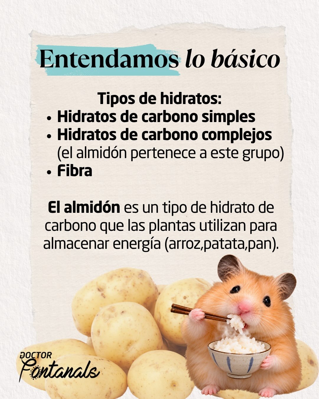 Carrusel sobre almidón resistente, lámina 2 de 6