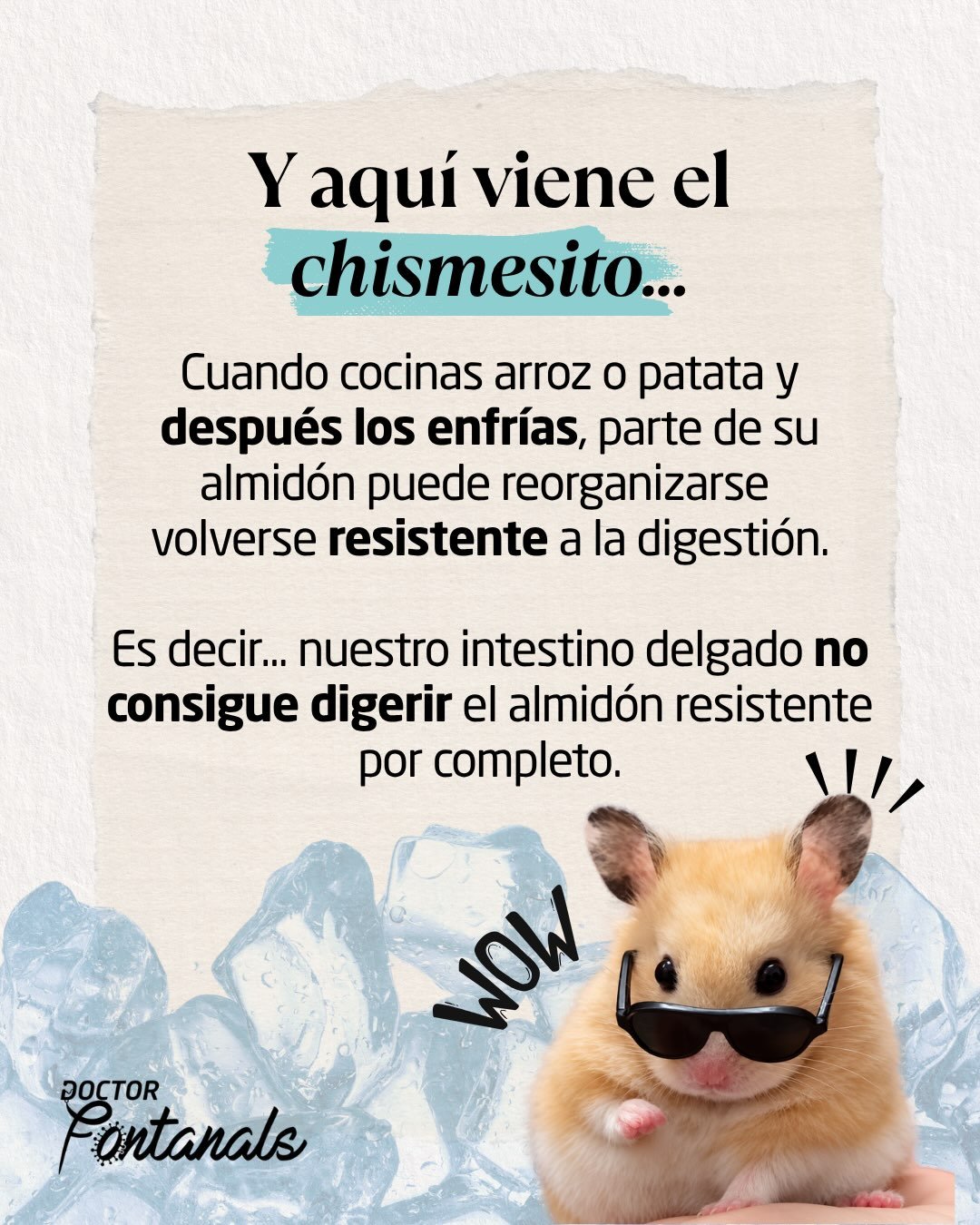 Carrusel sobre almidón resistente, lámina 3 de 6
