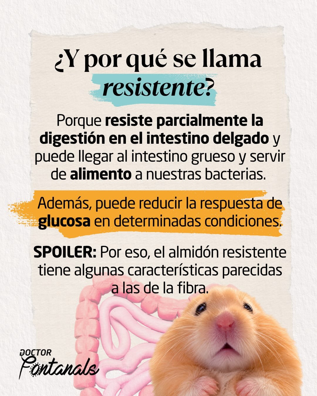 Carrusel sobre almidón resistente, lámina 4 de 6
