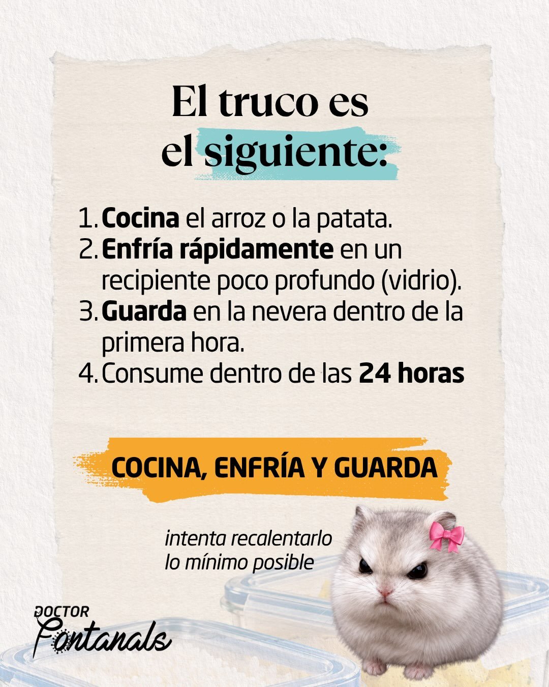 Carrusel sobre almidón resistente, lámina 5 de 6